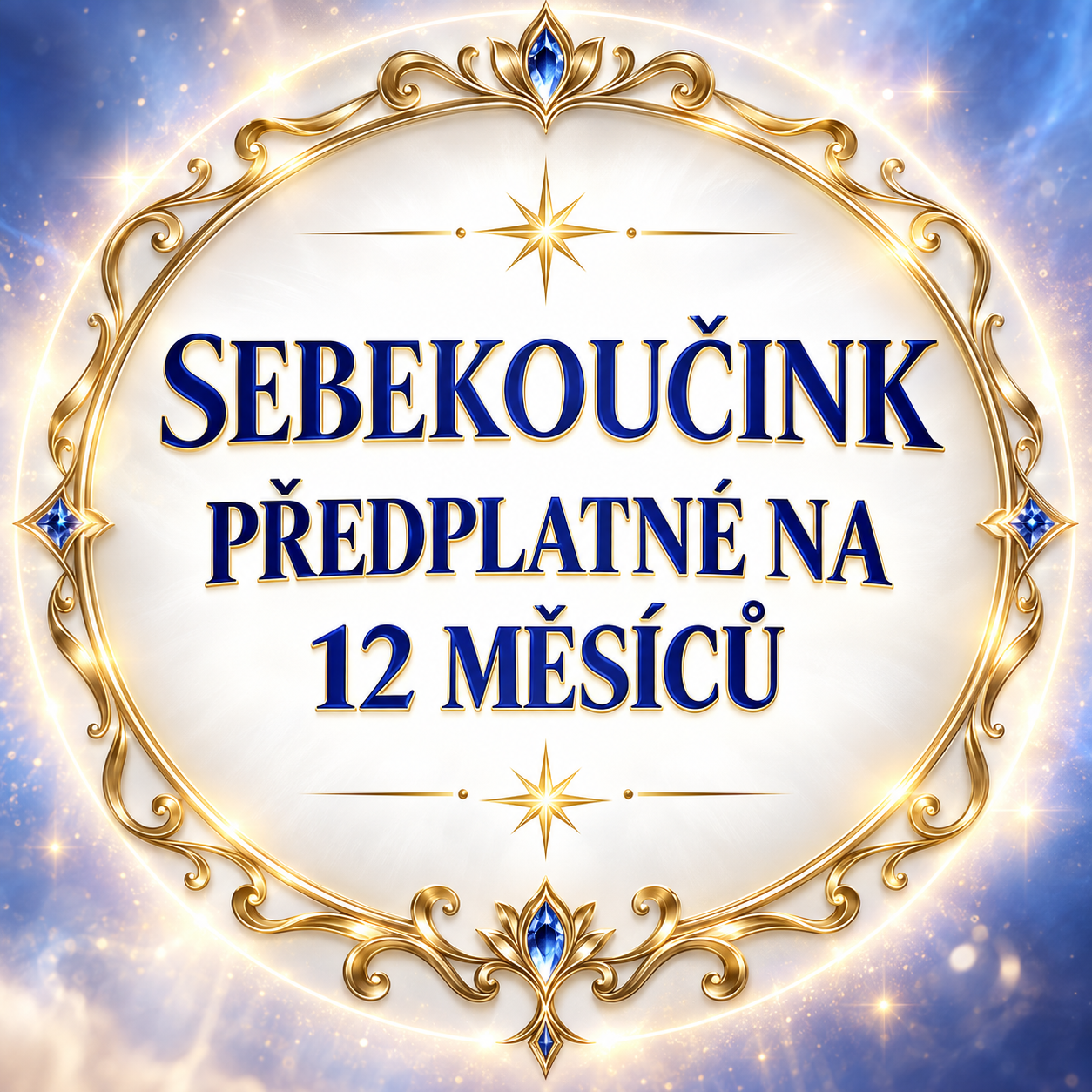 SEBEKOUČINK NA 12 MĚSÍCŮ