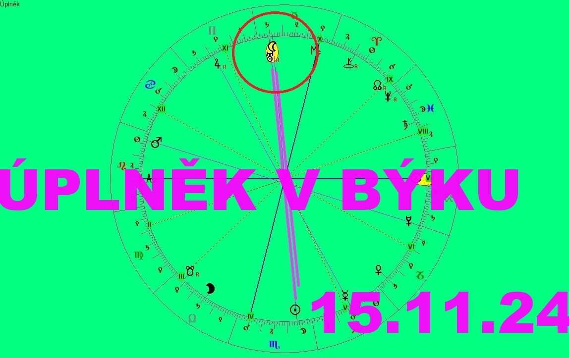 BÝK ÚPLNĚK 15.11.24