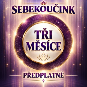 SEBEKOUČINK NA 3 MĚSÍCE
