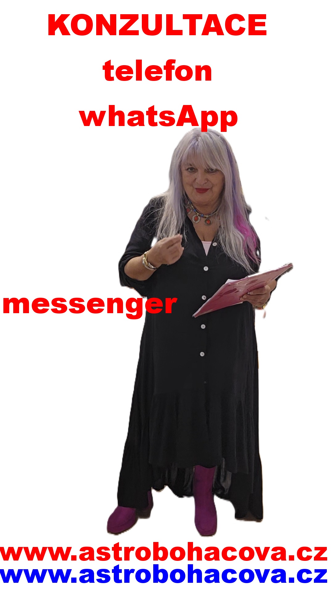 KONZULTACE  HODINOVÁ