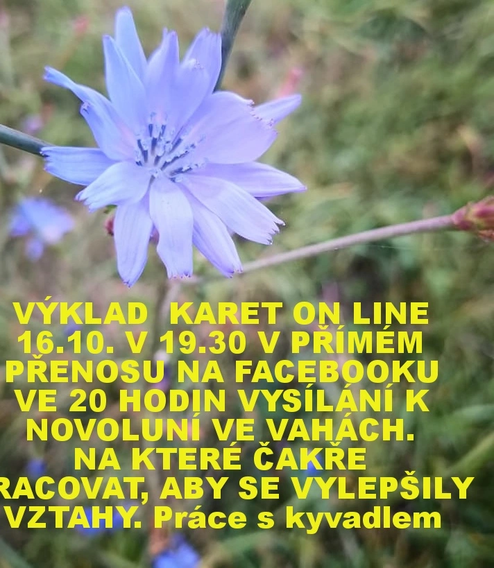 NOVOLUNÍ 16.10.2020 VÁHY 