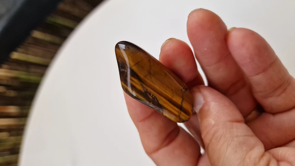 TYGŘÍ OKO troml. volně