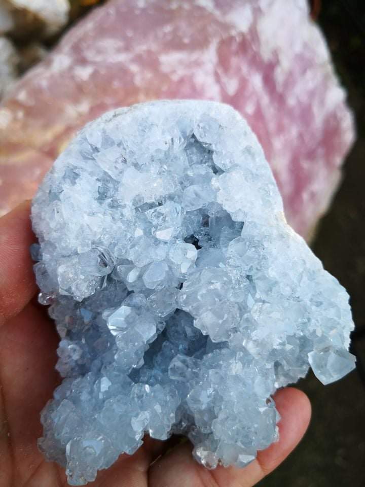 CELESTÝN NEPRODEJNÝ 