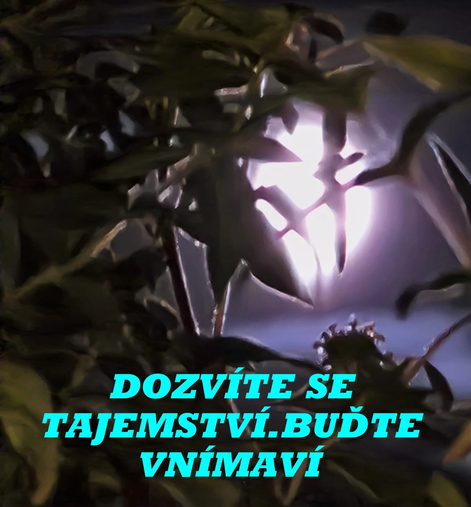 RYBY 31.8.23 ÚPLNĚK 