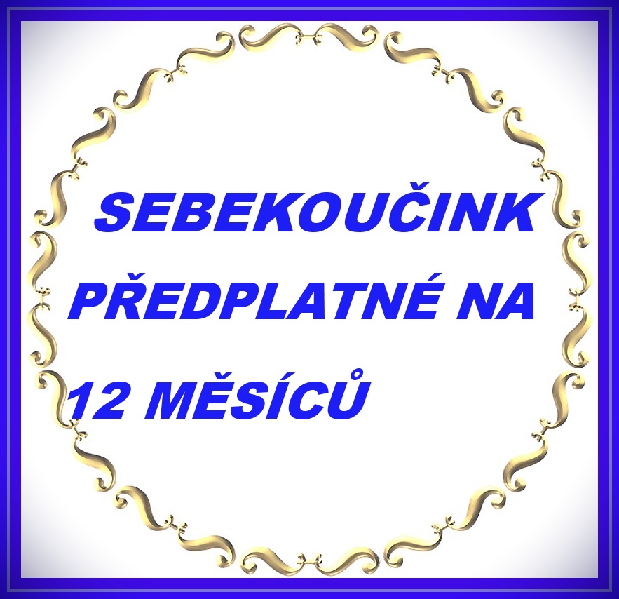 SEBEKOUČINK NA 24 MĚSÍCŮ 